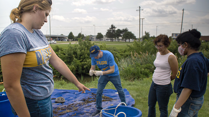 Defne Apul, Ph.D., and students sorting through litter collected through trash traps